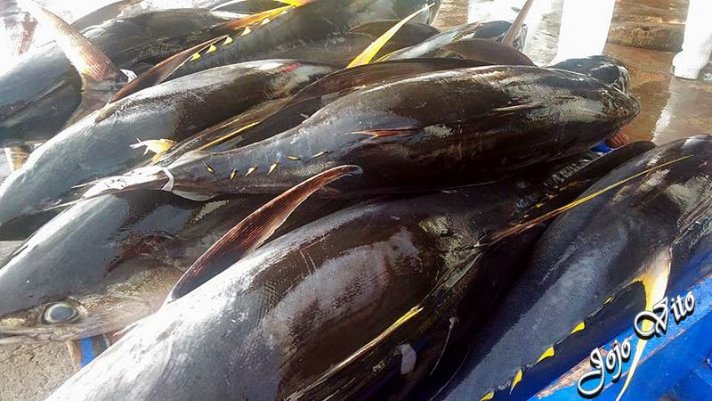  GENERAL SANTOS CITY FISH PORT COMPLEX