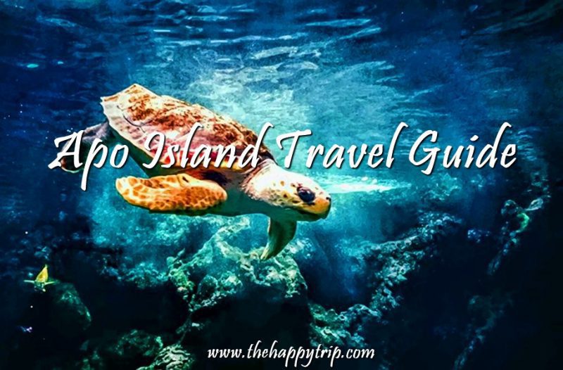 Apo Island Apo Island