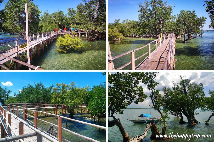 PANAL REEF, CARBIN REEF, SUYAC ISLAND TRAVEL GUIDE | SAGAY CITY, NEGROS OCCIDENTAL PANAL REEF, CARBIN REEF, SUYAC ISLAND TRAVEL GUIDE | SAGAY CITY, NEGROS OCCIDENTAL