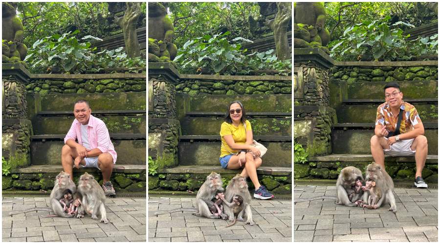 UBUD MONKEY FOREST | A Lush Haven of Playful Primate Magic