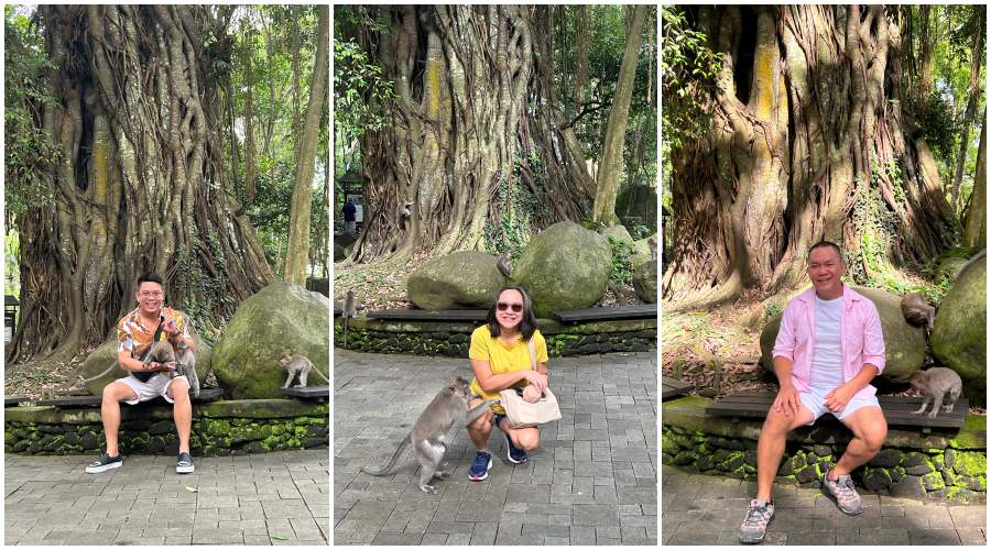 UBUD MONKEY FOREST | A Lush Haven of Playful Primate Magic